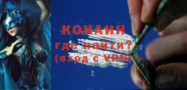 прущие грибы Елизово