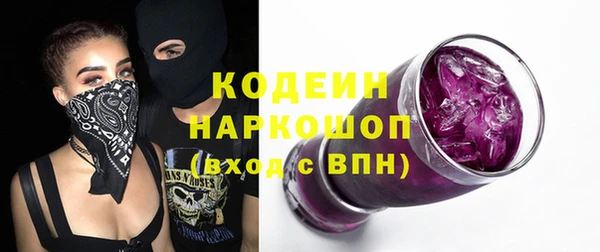 прущие грибы Елизово