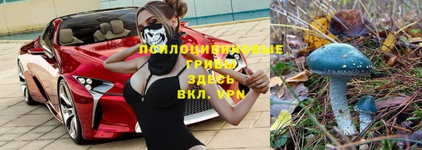 марки lsd Ельня