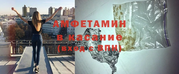 прущие грибы Елизово