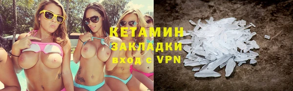 прущие грибы Елизово