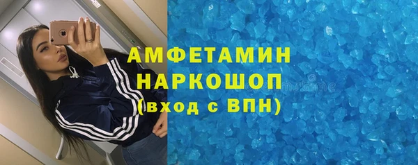 прущие грибы Елизово