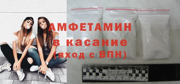 прущие грибы Елизово