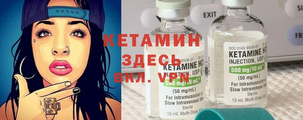 прущие грибы Елизово