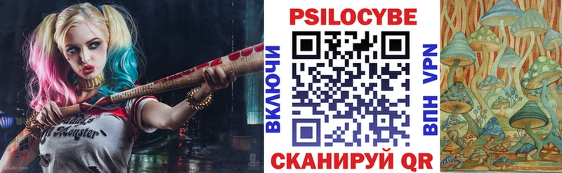 Псилоцибиновые грибы мицелий  Купить  Клин 